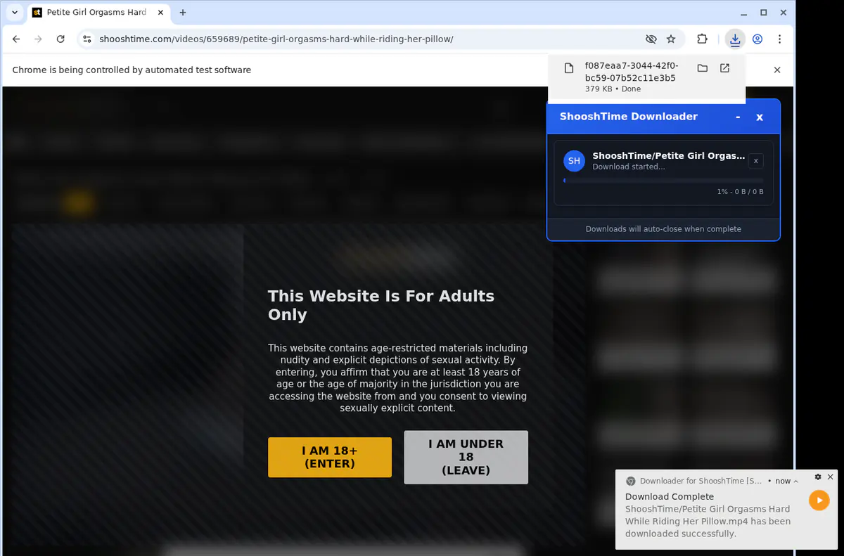 Shooshtime Video Downloader browser extension screenshot 2