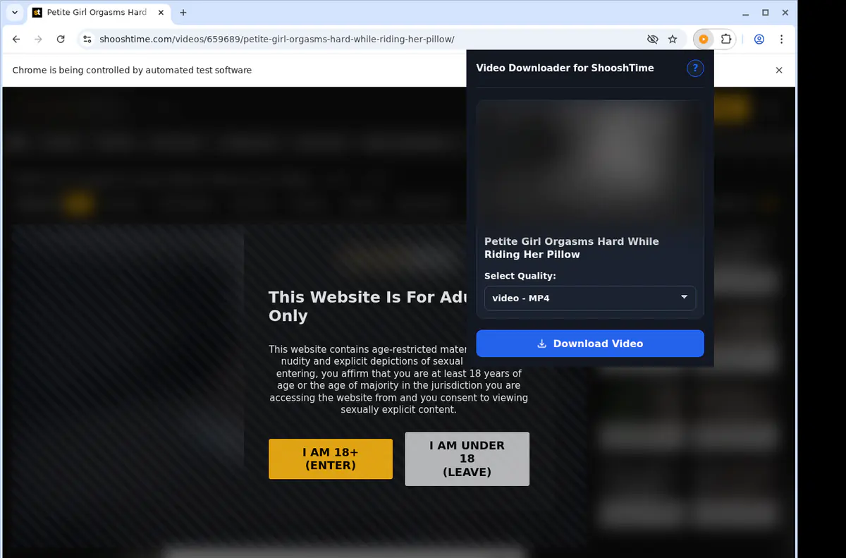Shooshtime Video Downloader browser extension screenshot 3