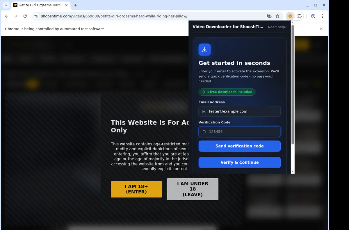 Shooshtime Video Downloader browser extension screenshot 4