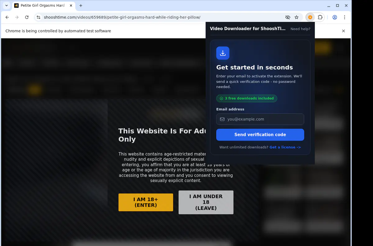 Shooshtime Video Downloader browser extension screenshot 5